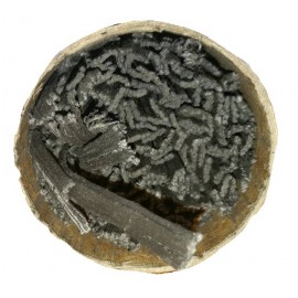 Stopina černoprachová - zápalná šňůra 2