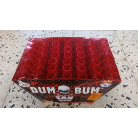 Dum Bum 49 ran FAN (vějíř) 2